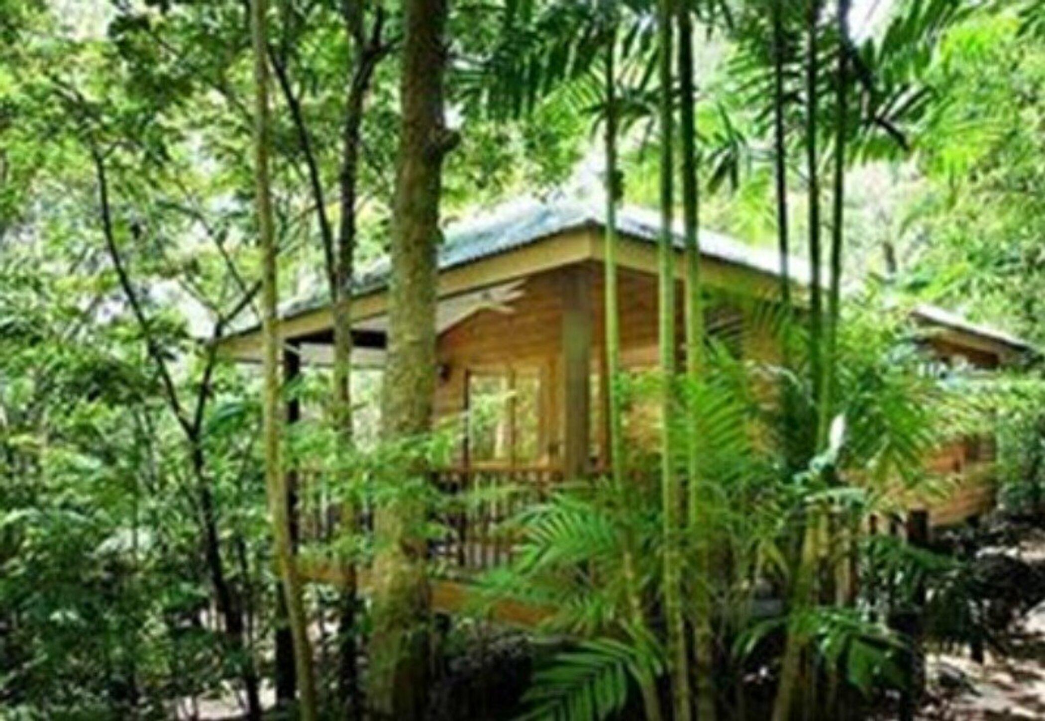 Thala Beach Nature Reserve Port Douglas Exterior foto